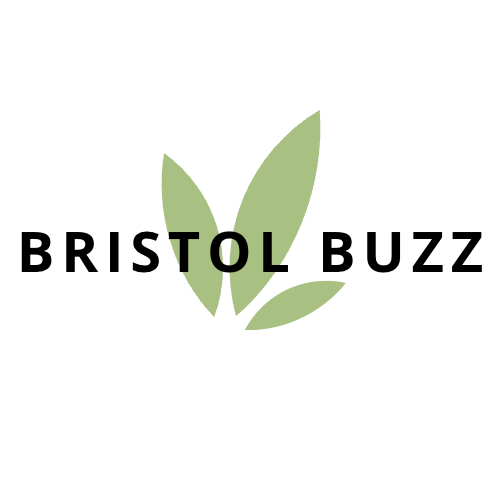 Bristol Buzz